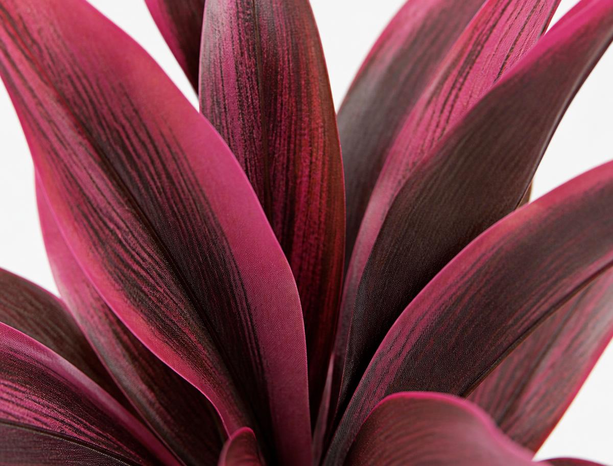 Macro close-up of the artificial cordyline leaves showing veining and matte finish